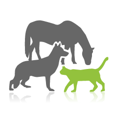 20170626160915_בעלי חיים.png